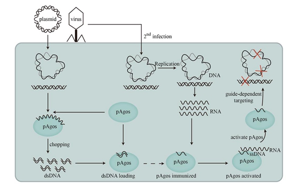 759413d2832447868bb401912e2c5d16.jpg 微信图片_20220331150557_副本.jpg