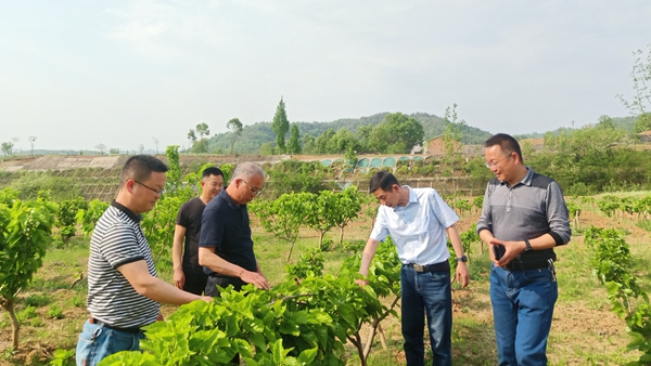 b5ddce58fa3346d48905fada5d8a233c.jpg 试验_副本.jpg