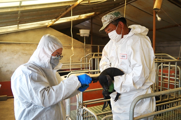 c781384d09fd4b4aa009aa0324ab72ac.jpg 4_副本.jpg